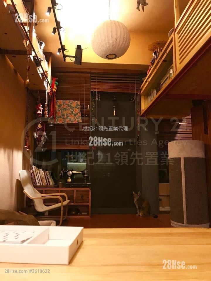 喜点 租盘 开放式间隔 , 1 浴室 240 平方尺 喜点 租盘 开放式间隔 , 1 浴室 240 平方尺