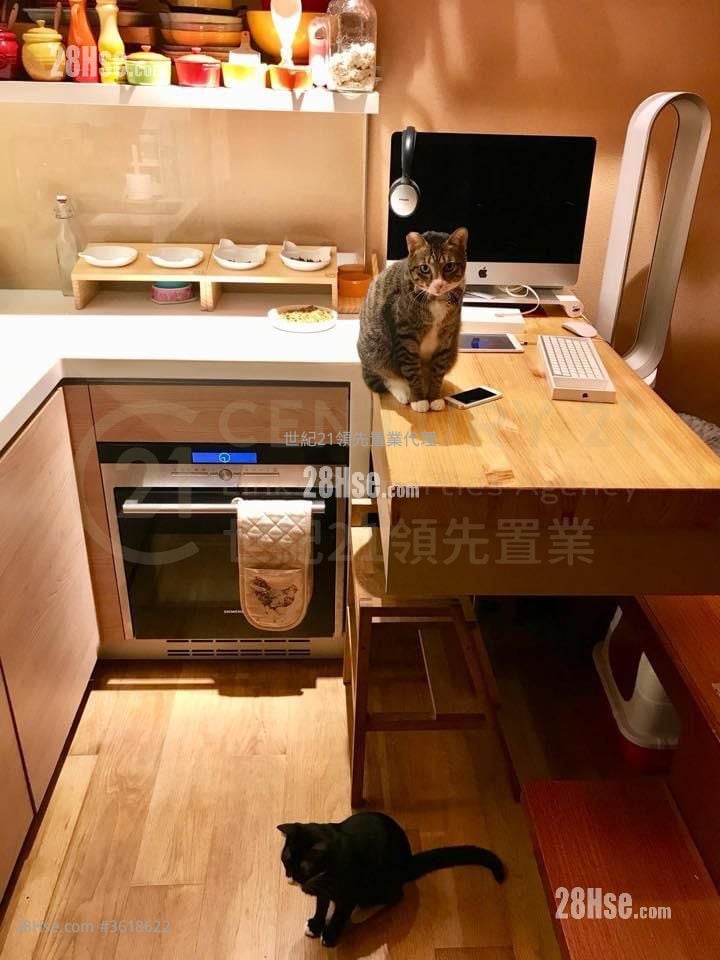 喜点 租盘 开放式间隔 , 1 浴室 240 平方尺 喜点 租盘 开放式间隔 , 1 浴室 240 平方尺