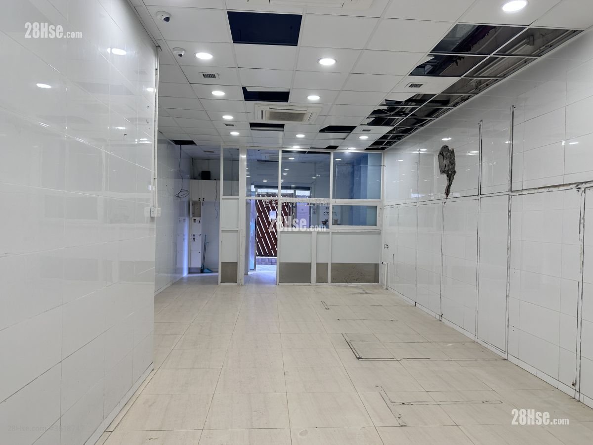 Kennedy Town Shop Sell 1 Toilet Kennedy Town Shop Sell 1 Toilet