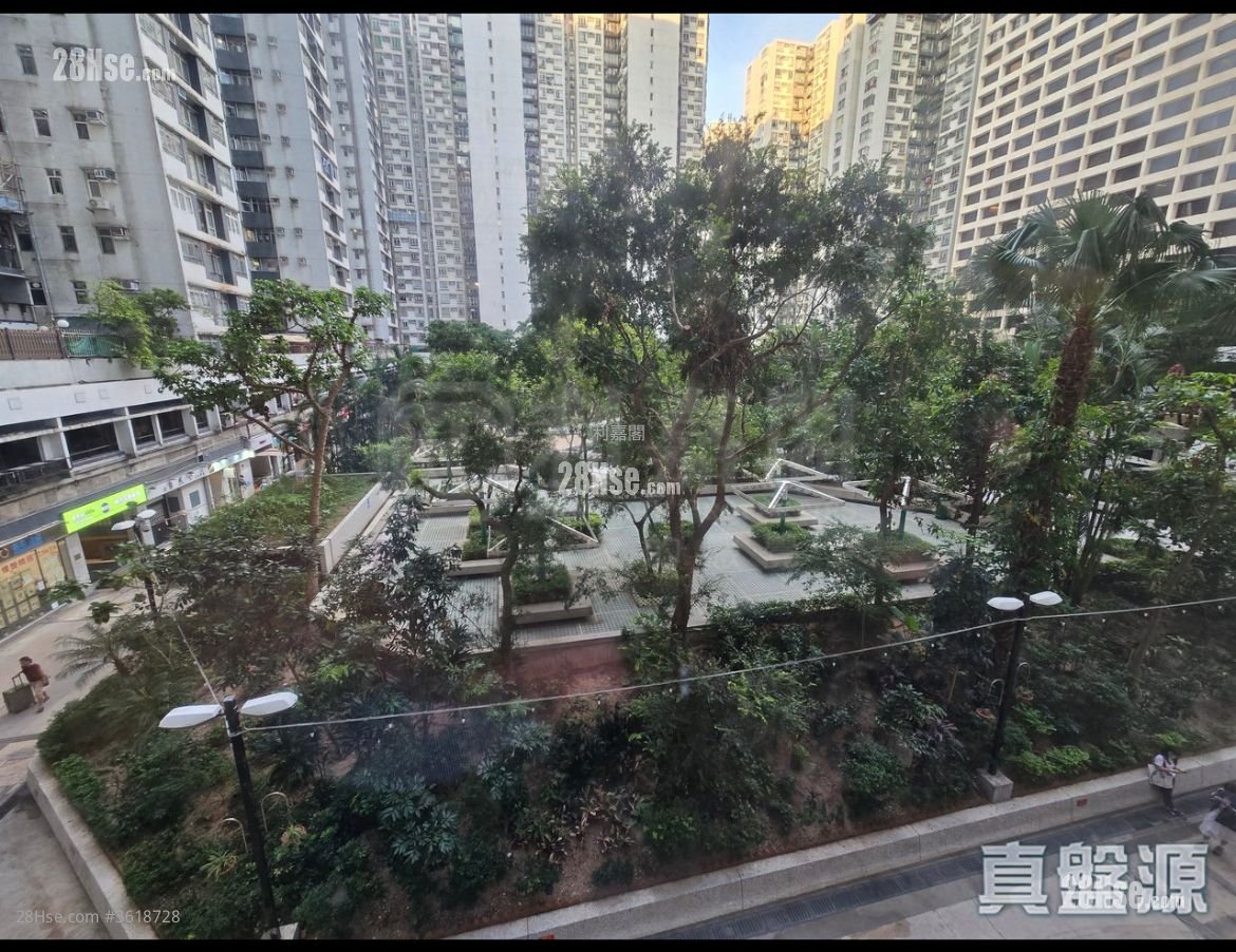 城市花園 售盤 3 房 , 2 浴室 1,029 平方呎 城市花園 售盤 3 房 , 2 浴室 1,029 平方呎