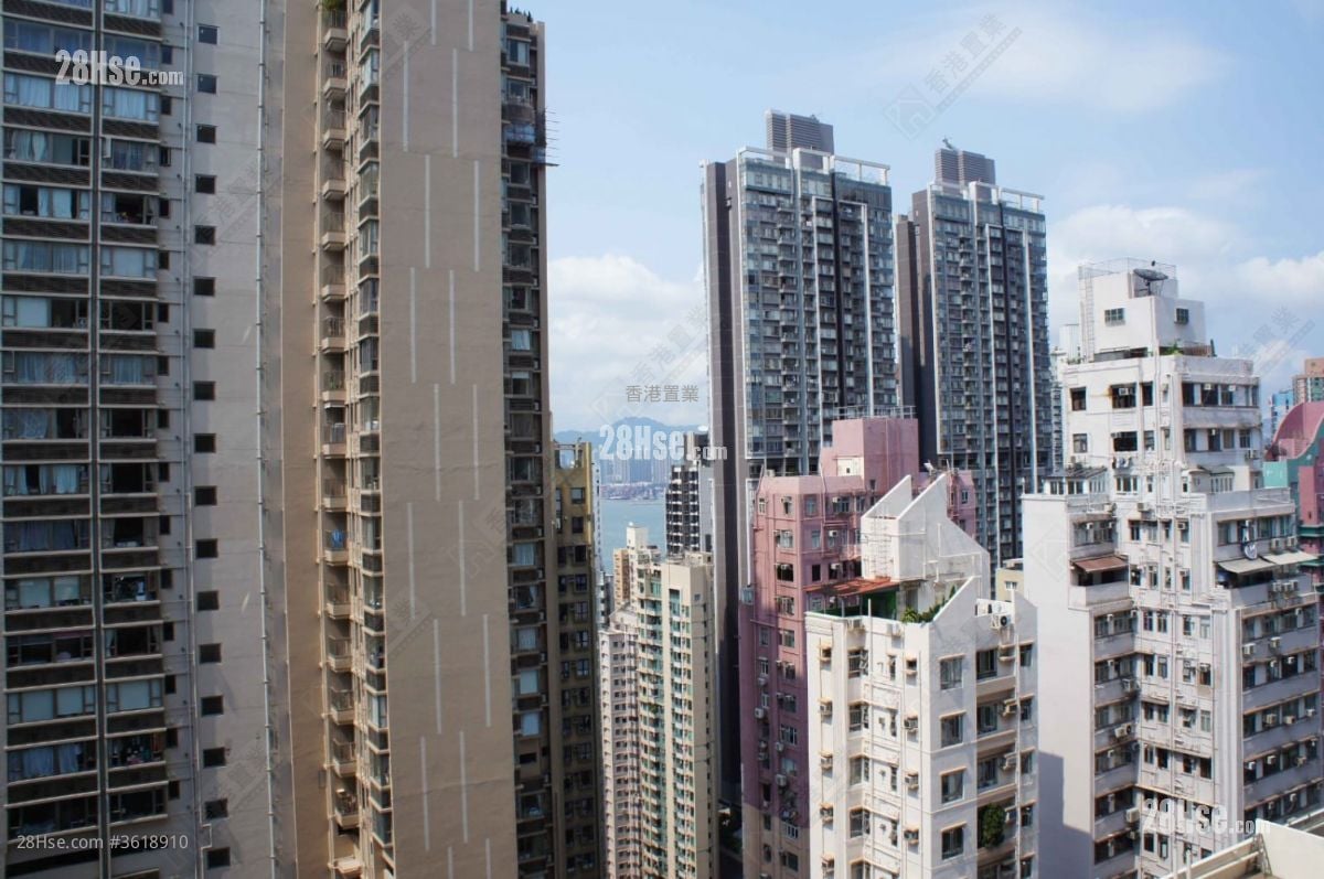 Good View Court Rental 2 Bedrooms , 1 Bathroom 561 ft² Good View Court Rental 2 Bedrooms , 1 Bathroom 561 ft²