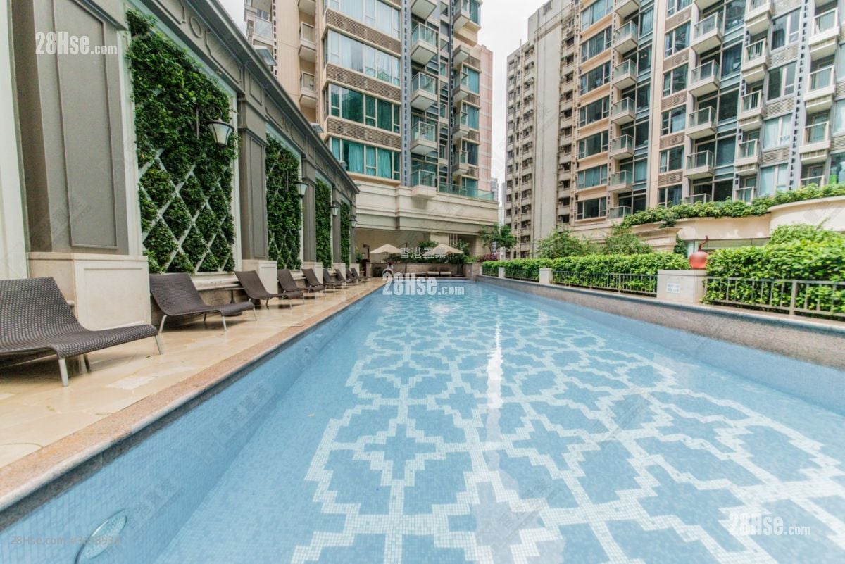 The Avenue Sell 1 Bathroom 340 ft² The Avenue Sell 1 Bathroom 340 ft²