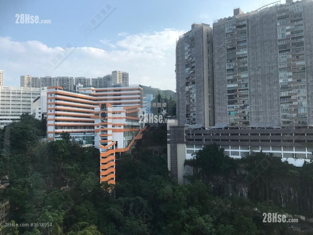Lime Habitat Rental 3 Bedrooms , 2 Bathrooms 722 ft² Lime Habitat Rental 3 Bedrooms , 2 Bathrooms 722 ft²
