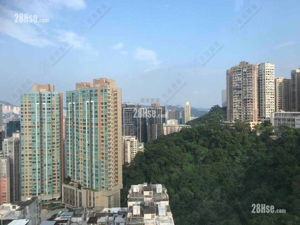 Lime Habitat Rental 3 Bedrooms , 2 Bathrooms 722 ft² Lime Habitat Rental 3 Bedrooms , 2 Bathrooms 722 ft²