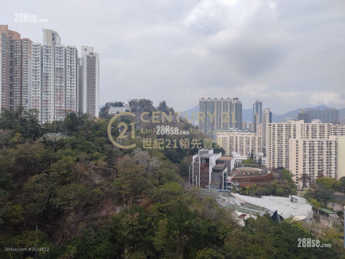 Homantin Hillside Rental 4 Bedrooms , 2 Bathrooms 1,257 ft² Homantin Hillside Rental 4 Bedrooms , 2 Bathrooms 1,257 ft²