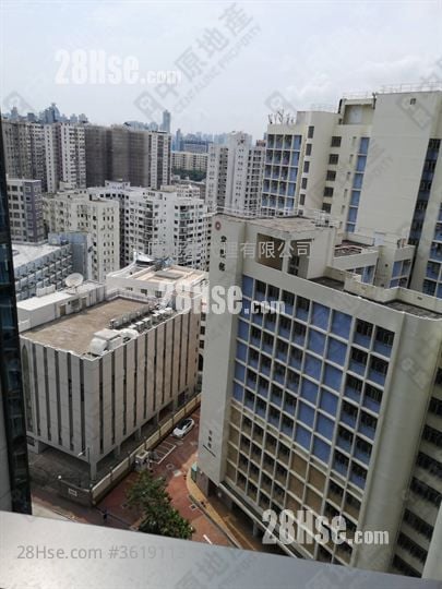 皓畋 售盘 2 房 , 1 浴室 550 平方尺 皓畋 售盘 2 房 , 1 浴室 550 平方尺