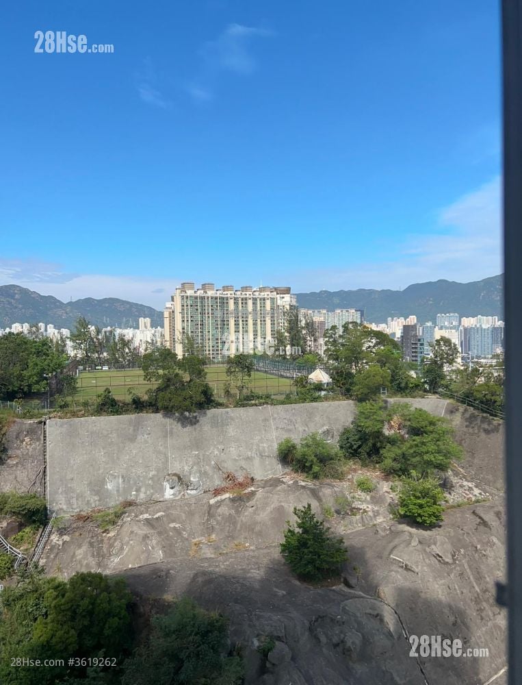 View: 開揚向南 View: 開揚向南