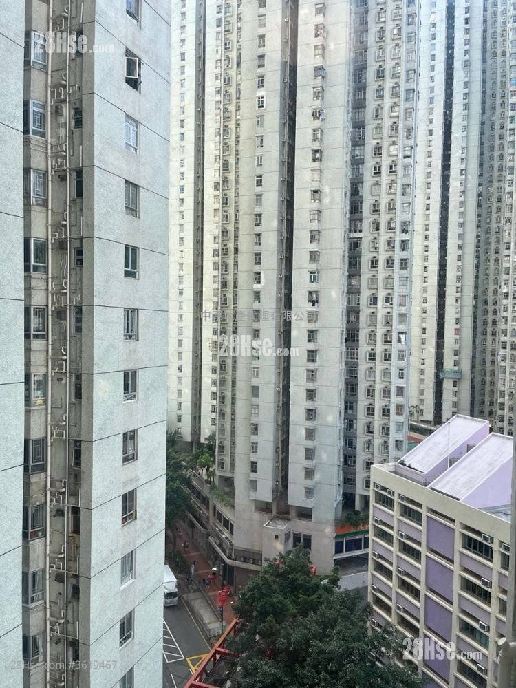 麗城花園 售盤 3 房 , 2 浴室 728 平方呎 麗城花園 售盤 3 房 , 2 浴室 728 平方呎