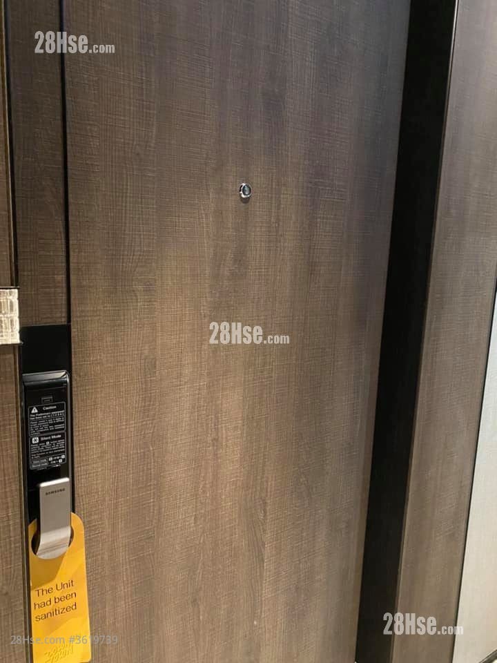 Downtown 38 Rental 1 Bedroom , 1 Bathroom 304 ft² Downtown 38 Rental 1 Bedroom , 1 Bathroom 304 ft²