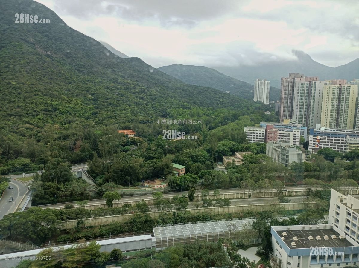 蓝天海岸 租盘 2 房 , 1 浴室 485 平方尺 蓝天海岸 租盘 2 房 , 1 浴室 485 平方尺