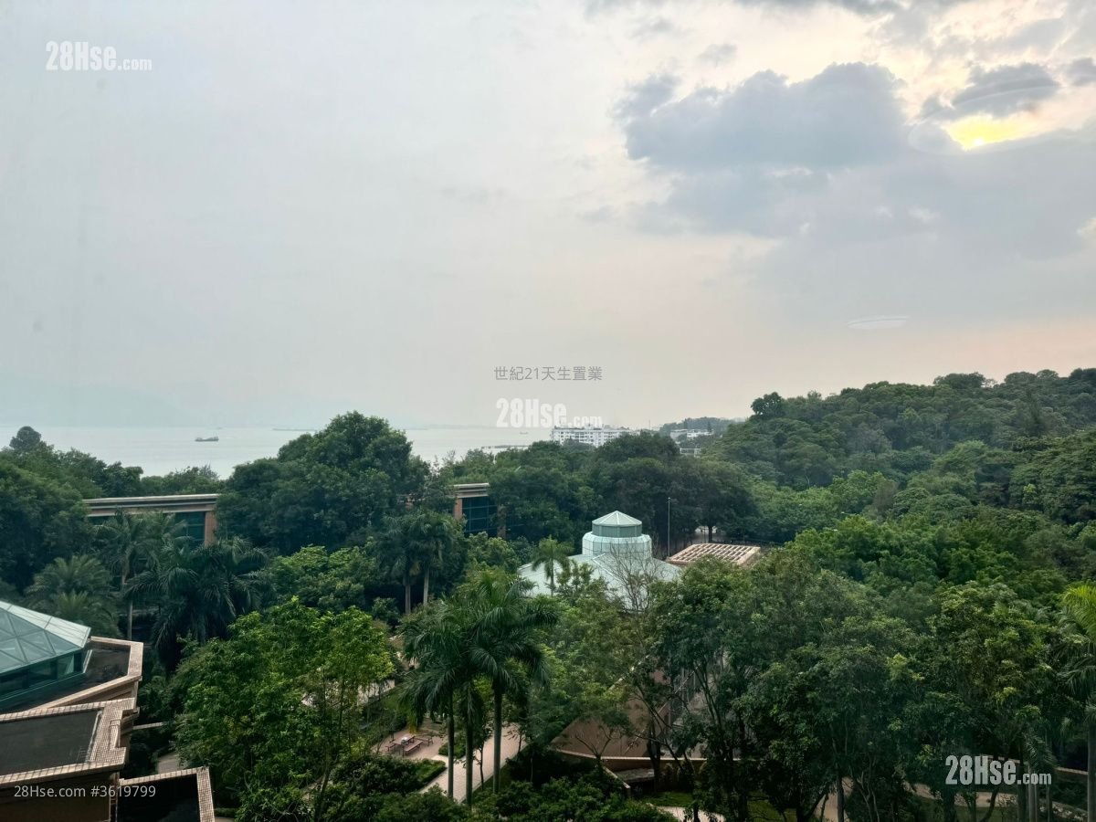 Palatial Coast Sell 3 Bedrooms , 2 Bathrooms 1,187 ft² Palatial Coast Sell 3 Bedrooms , 2 Bathrooms 1,187 ft²