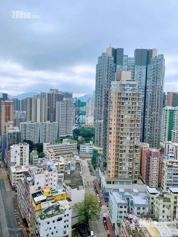 Viva Rental 2 Bedrooms , 1 Bathroom 487 ft² Viva Rental 2 Bedrooms , 1 Bathroom 487 ft²