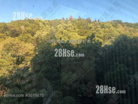 Dynasty Heights Sell 3 Bedrooms , 2 Bathrooms 1,175 ft² Dynasty Heights Sell 3 Bedrooms , 2 Bathrooms 1,175 ft²