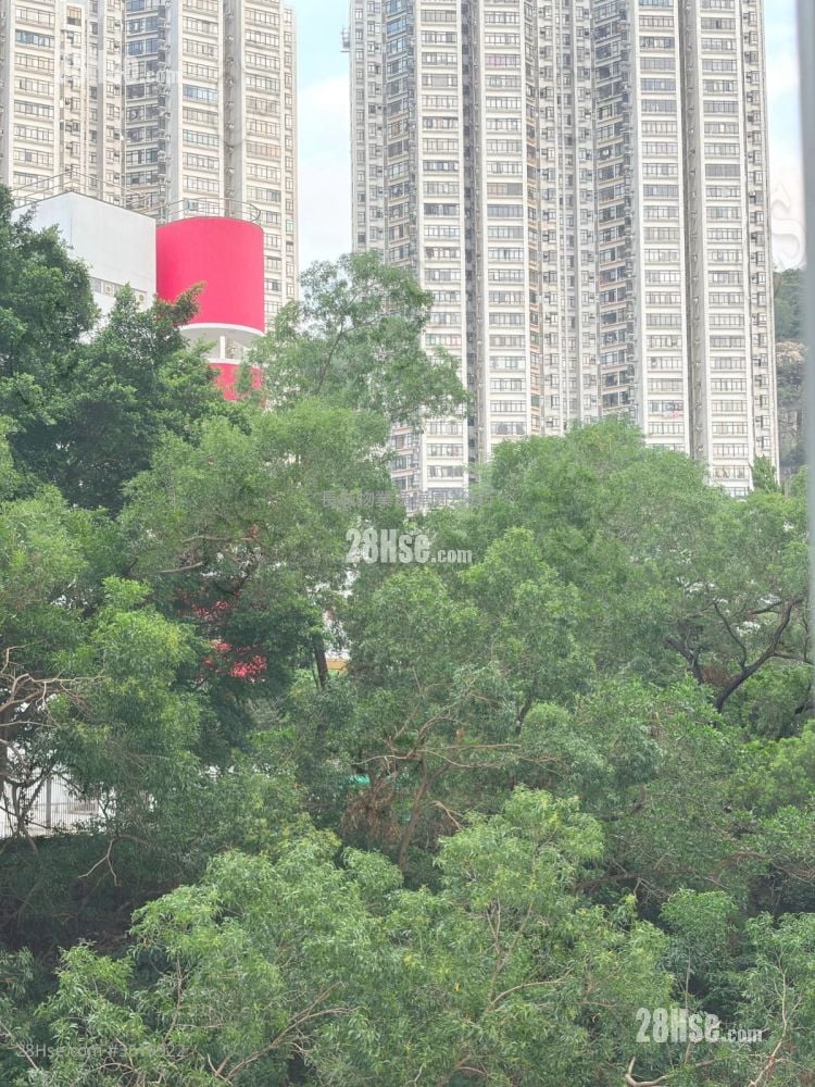Nan Fung Sun Chuen Rental 2 Bedrooms , 1 Bathroom 391 ft² Nan Fung Sun Chuen Rental 2 Bedrooms , 1 Bathroom 391 ft²