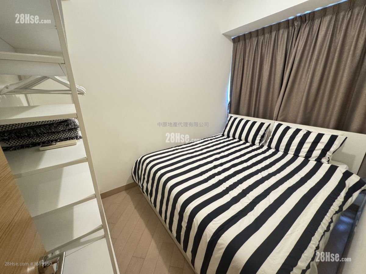 Century Link Rental 2 Bedrooms , 1 Bathroom 463 ft² Century Link Rental 2 Bedrooms , 1 Bathroom 463 ft²