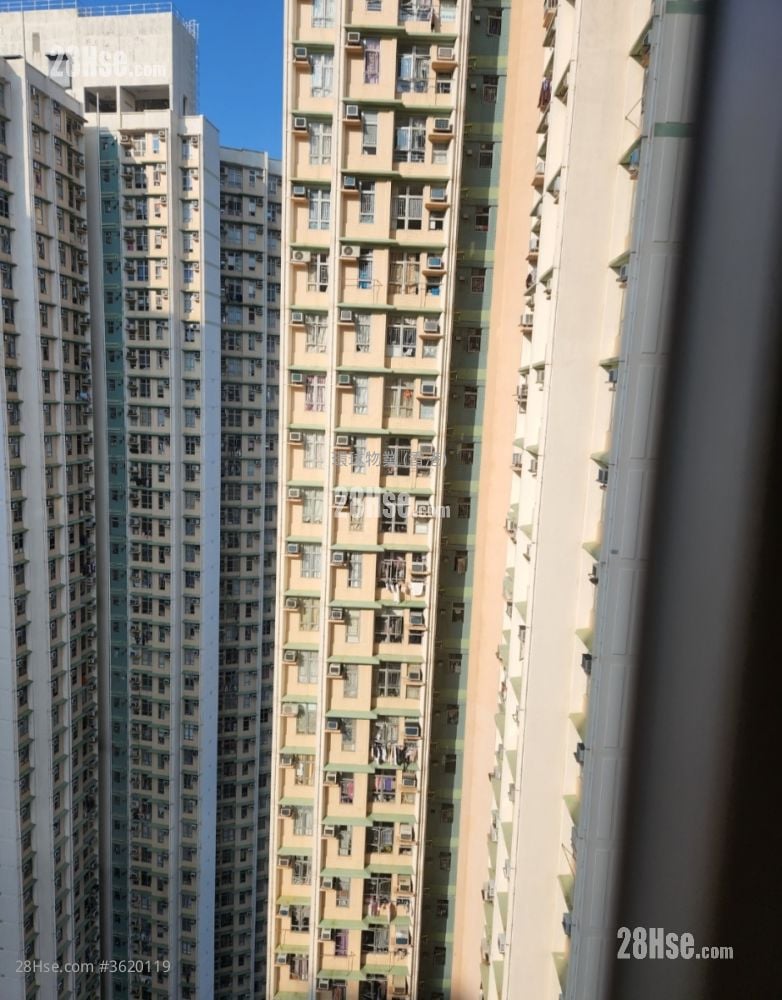 Lei On Court Sell 3 Bedrooms , 2 Bathrooms 650 ft² Lei On Court Sell 3 Bedrooms , 2 Bathrooms 650 ft²