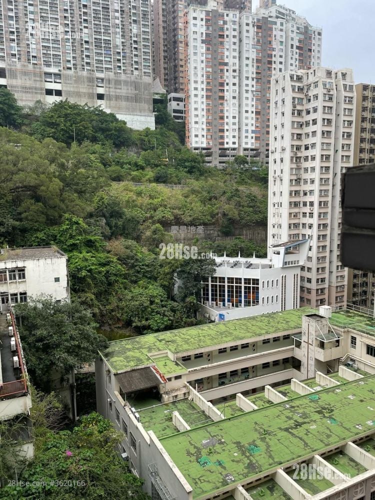 楓林花園 售盤 3 房 , 2 浴室 608 平方呎 楓林花園 售盤 3 房 , 2 浴室 608 平方呎