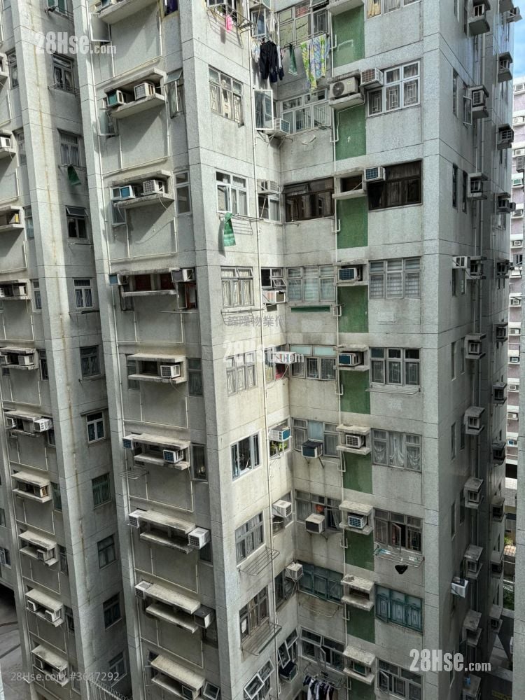 偉恆昌新村 租盤 2 房 , 1 浴室 372 平方呎 偉恆昌新村 租盤 2 房 , 1 浴室 372 平方呎