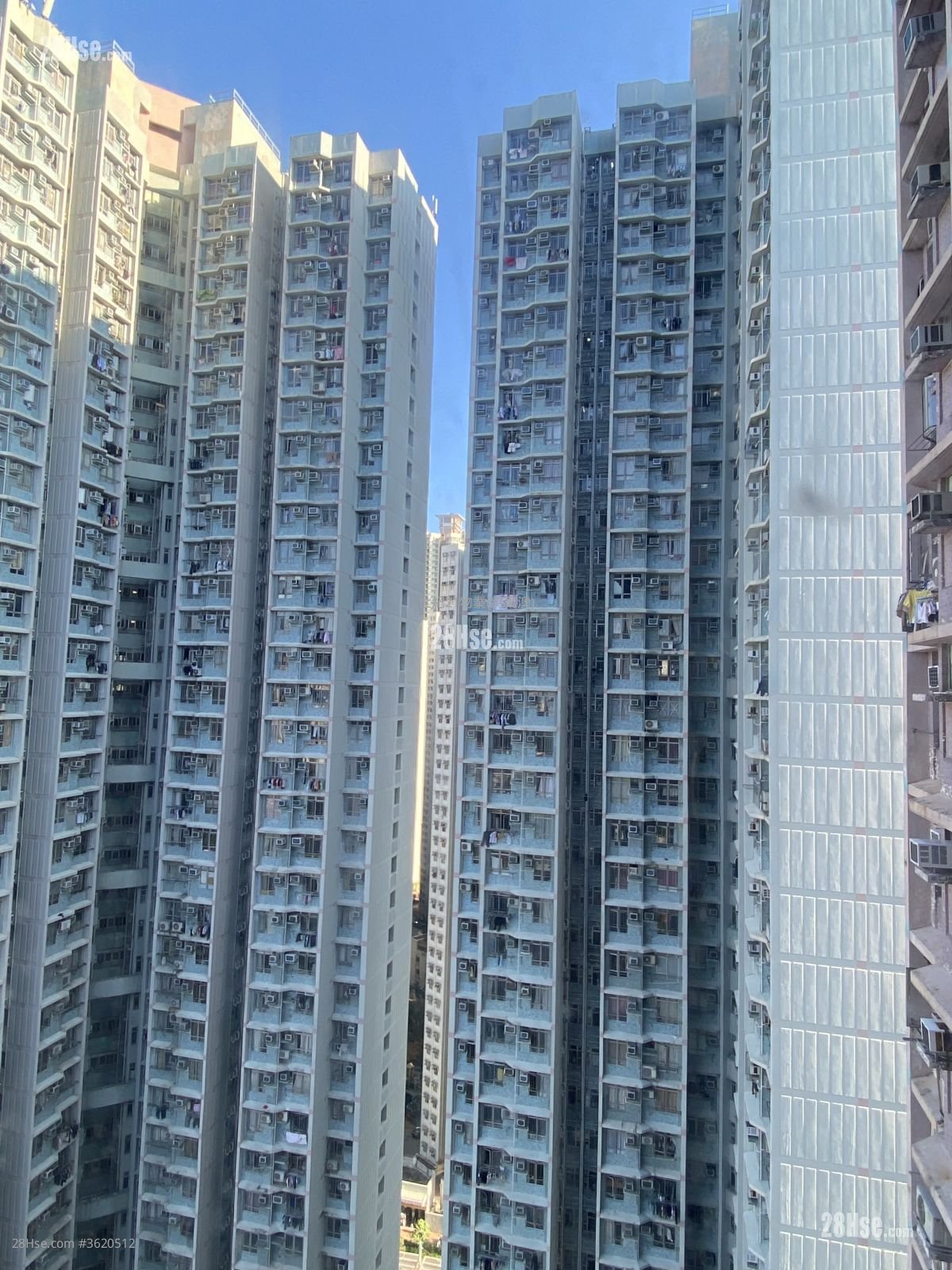广明苑 售盘 2 房 , 1 浴室 530 平方尺 广明苑 售盘 2 房 , 1 浴室 530 平方尺