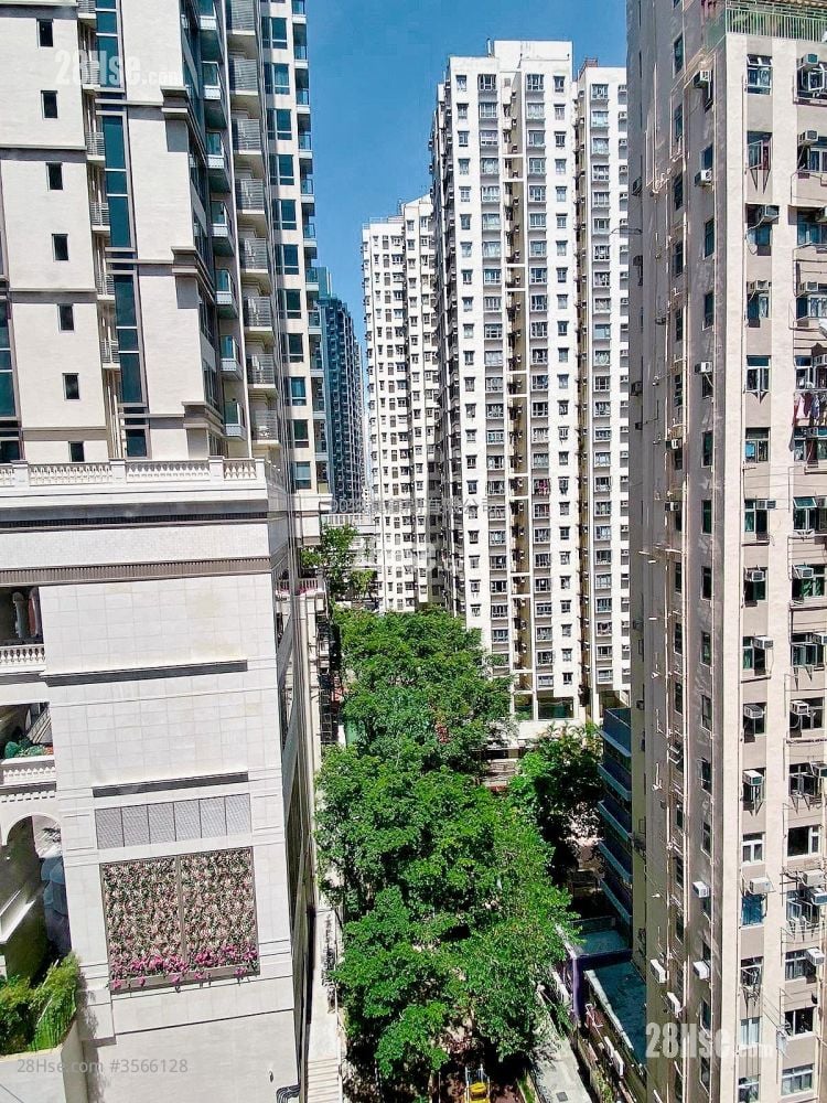 居仁阁 售盘 395 平方尺 居仁阁 售盘 395 平方尺