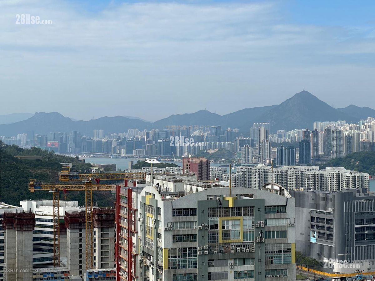 蝶翠苑 售盘 开放式间隔 , 1 浴室 309 平方尺 蝶翠苑 售盘 开放式间隔 , 1 浴室 309 平方尺