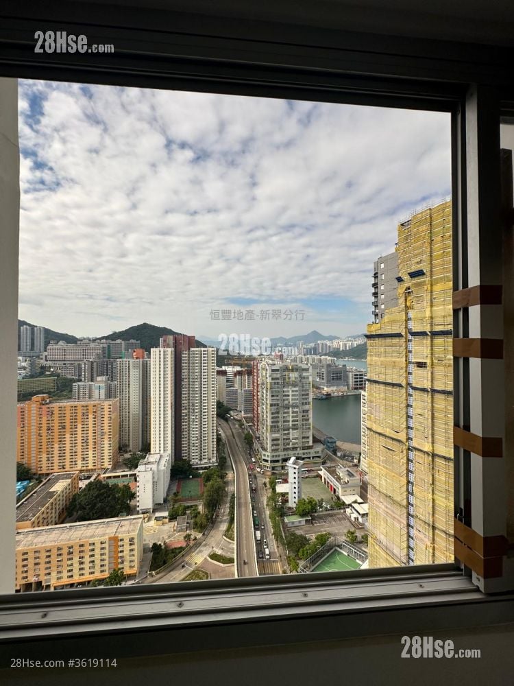 蝶翠苑 售盘 开放式间隔 , 1 浴室 309 平方尺 蝶翠苑 售盘 开放式间隔 , 1 浴室 309 平方尺