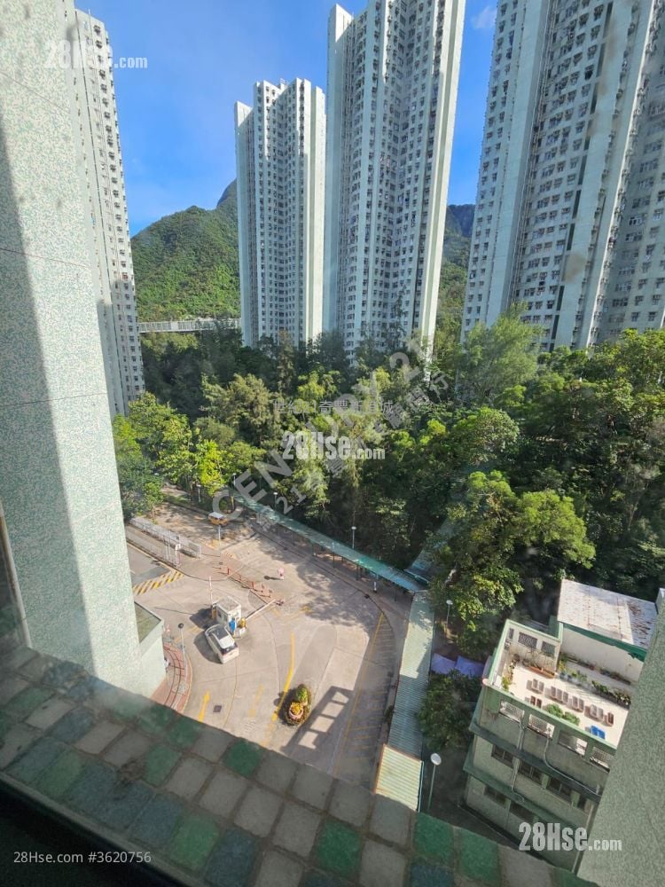 富宝花园 售盘 1 房 , 1 浴室 431 平方尺 富宝花园 售盘 1 房 , 1 浴室 431 平方尺