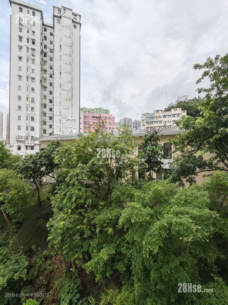 Shui Wo House Rental 2 Bedrooms , 1 Bathroom 265 ft² Shui Wo House Rental 2 Bedrooms , 1 Bathroom 265 ft²