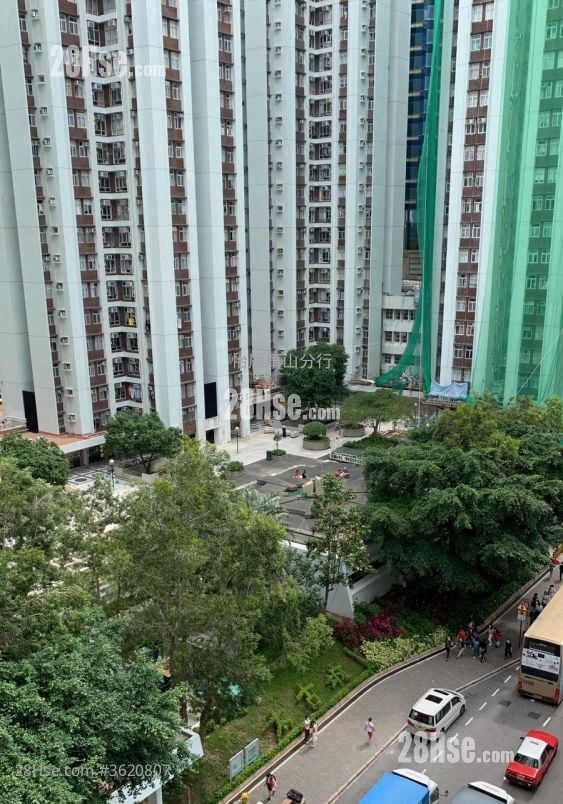 Taikoo Shing Rental 502 ft² Taikoo Shing Rental 502 ft²
