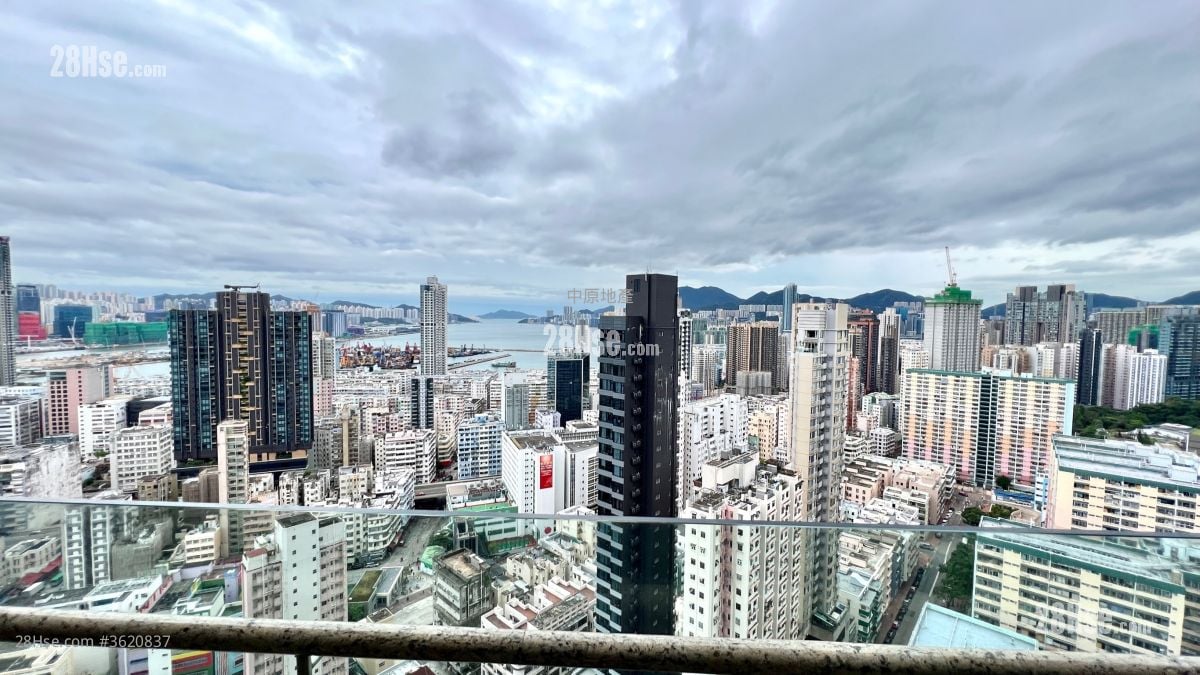 View: 露台景觀 View: 露台景觀