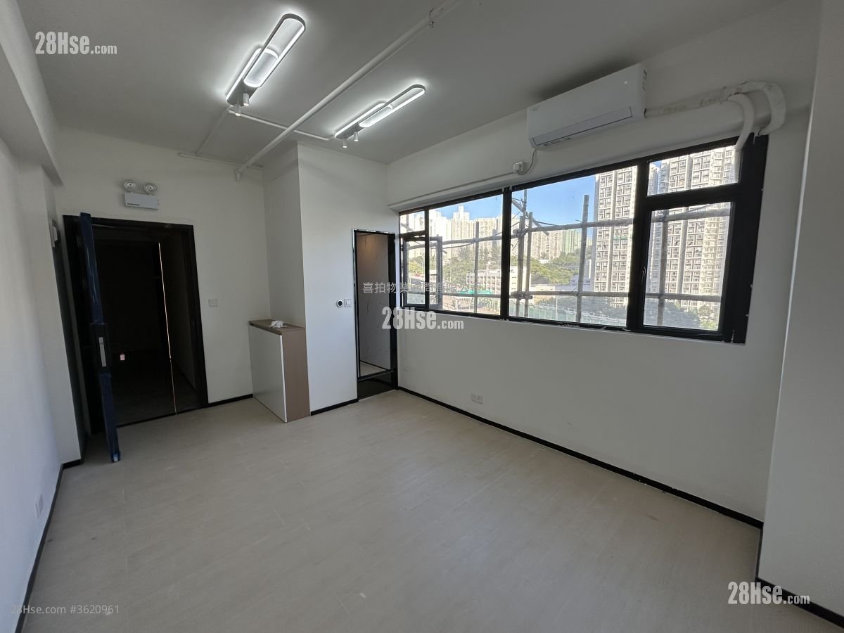 --- Rental --- Rental