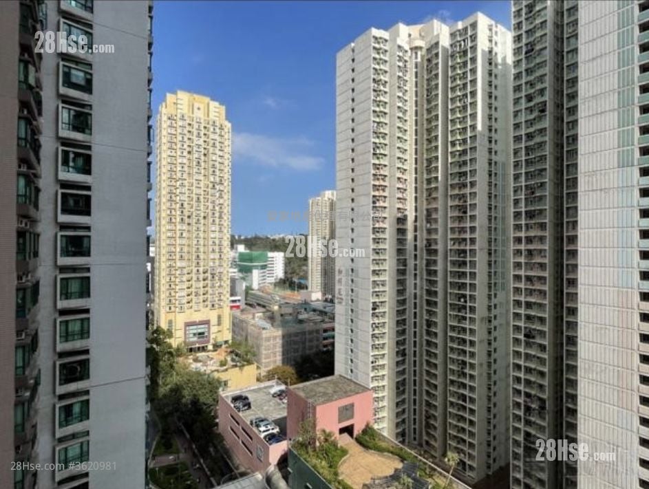 東港城 租盤 2 房 , 1 浴室 463 平方呎 東港城 租盤 2 房 , 1 浴室 463 平方呎