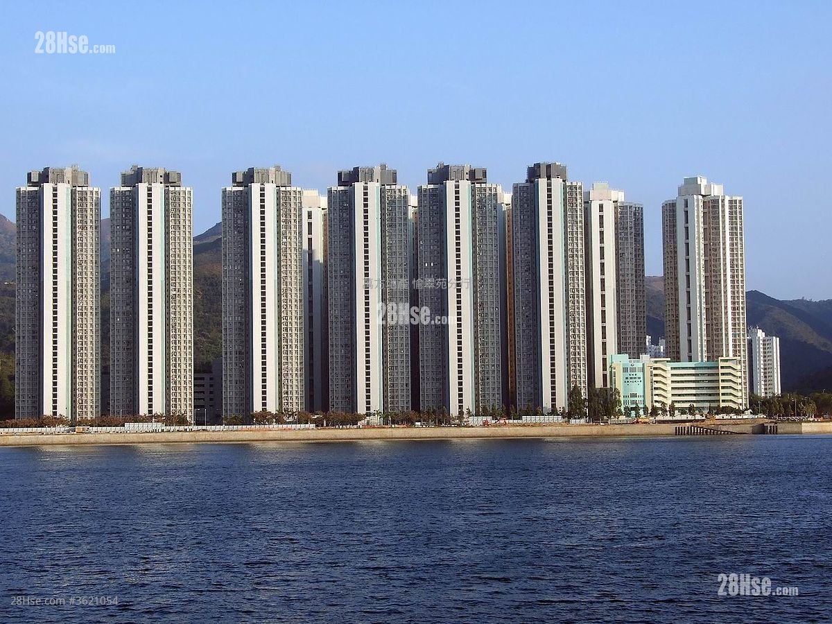 锦泰苑 售盘 3 房 , 2 浴室 650 平方尺 锦泰苑 售盘 3 房 , 2 浴室 650 平方尺