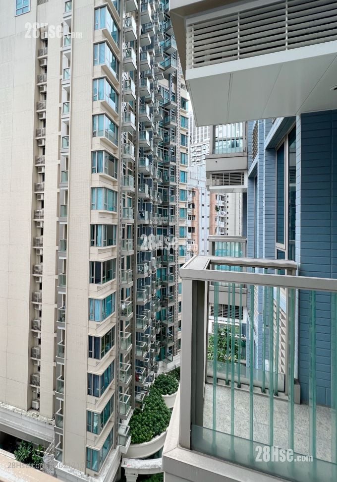 囍滙 租盤 1 房 , 1 浴室 431 平方呎 囍滙 租盤 1 房 , 1 浴室 431 平方呎