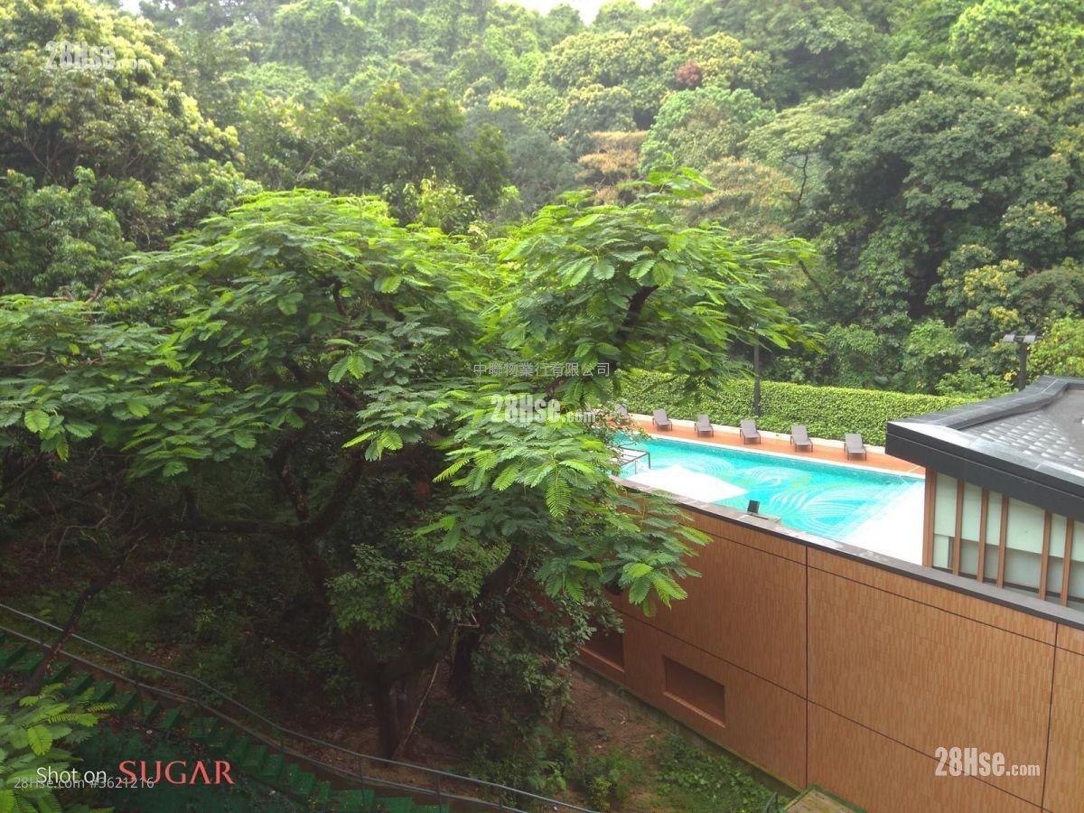 荟荞 租盘 开放式间隔 , 1 浴室 254 平方尺 荟荞 租盘 开放式间隔 , 1 浴室 254 平方尺