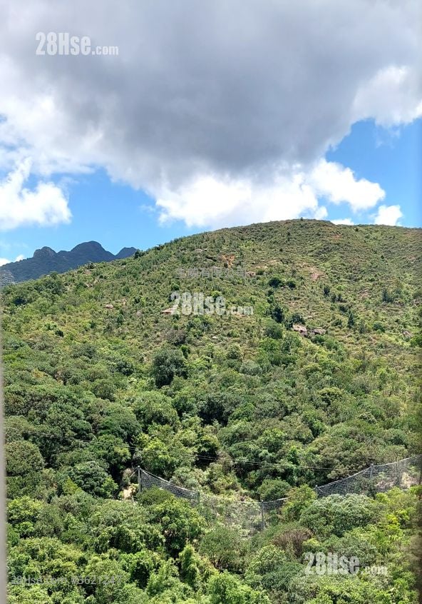 富安花园 售盘 2 房 , 1 浴室 437 平方尺 富安花园 售盘 2 房 , 1 浴室 437 平方尺