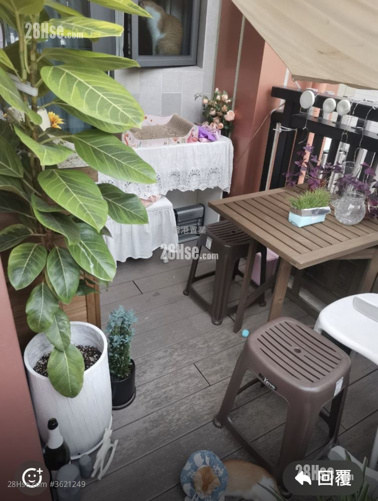 隽睿 售盘 1 房 241 平方尺 隽睿 售盘 1 房 241 平方尺