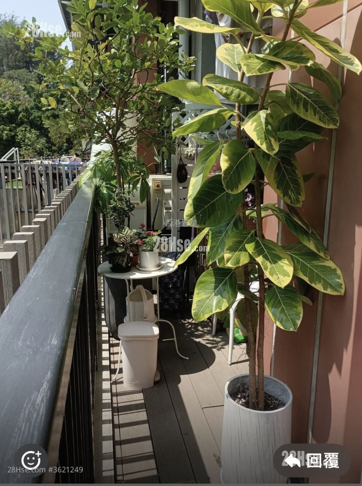 隽睿 售盘 1 房 241 平方尺 隽睿 售盘 1 房 241 平方尺