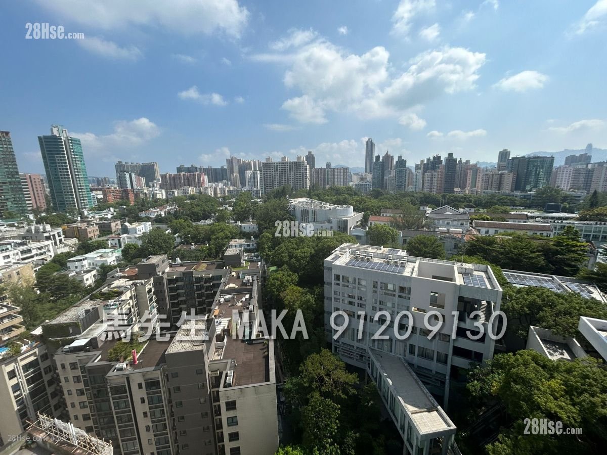 Prince Central 租盘 4 房 , 3 浴室 890 平方尺 Prince Central 租盘 4 房 , 3 浴室 890 平方尺