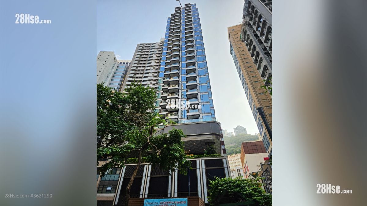 Spring Garden 售盘 292 平方尺