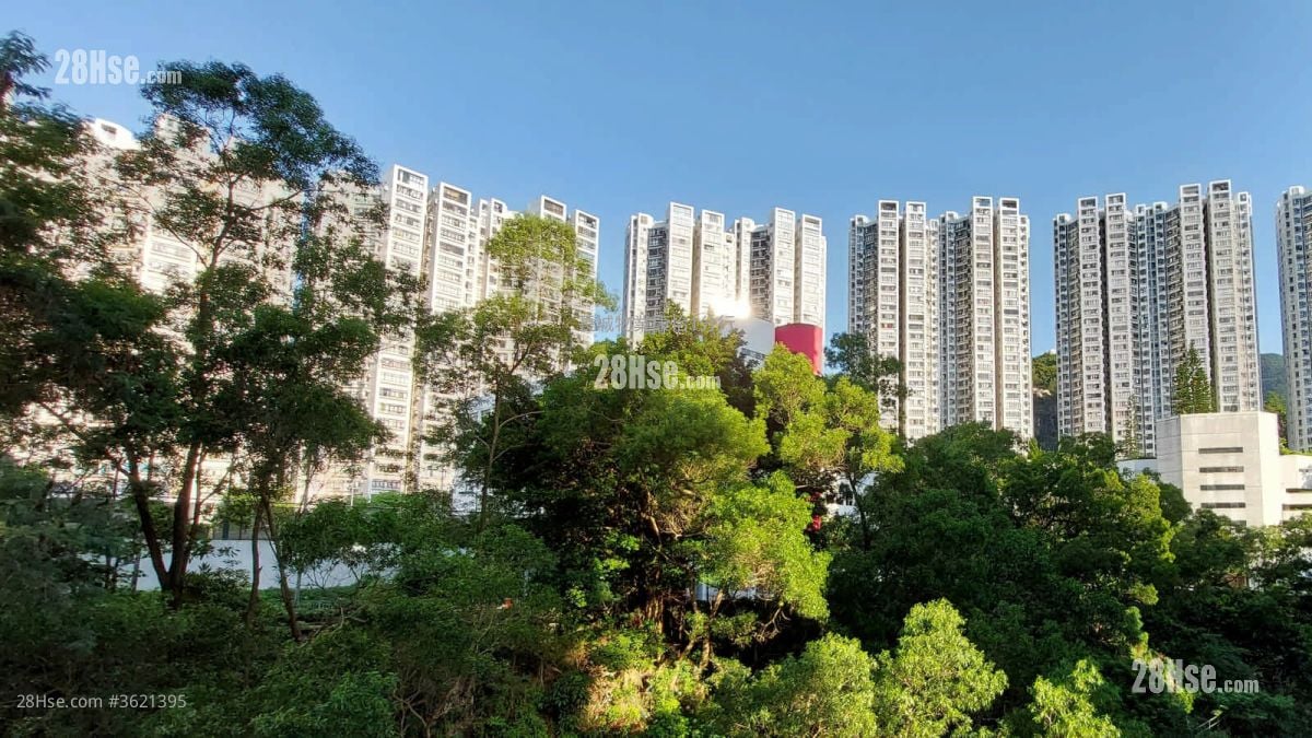 南豐新邨 租盤 2 房 , 1 浴室 391 平方呎 南豐新邨 租盤 2 房 , 1 浴室 391 平方呎