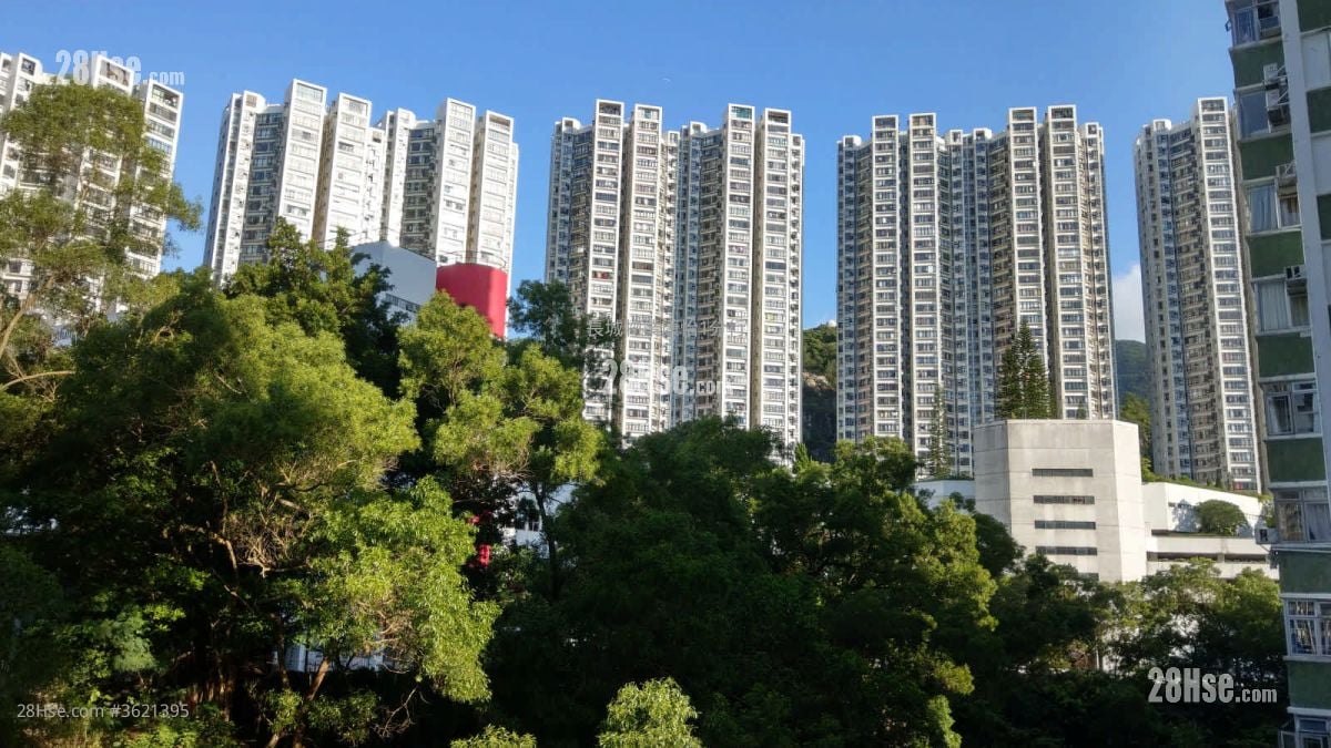 南豐新邨 租盤 2 房 , 1 浴室 391 平方呎 南豐新邨 租盤 2 房 , 1 浴室 391 平方呎