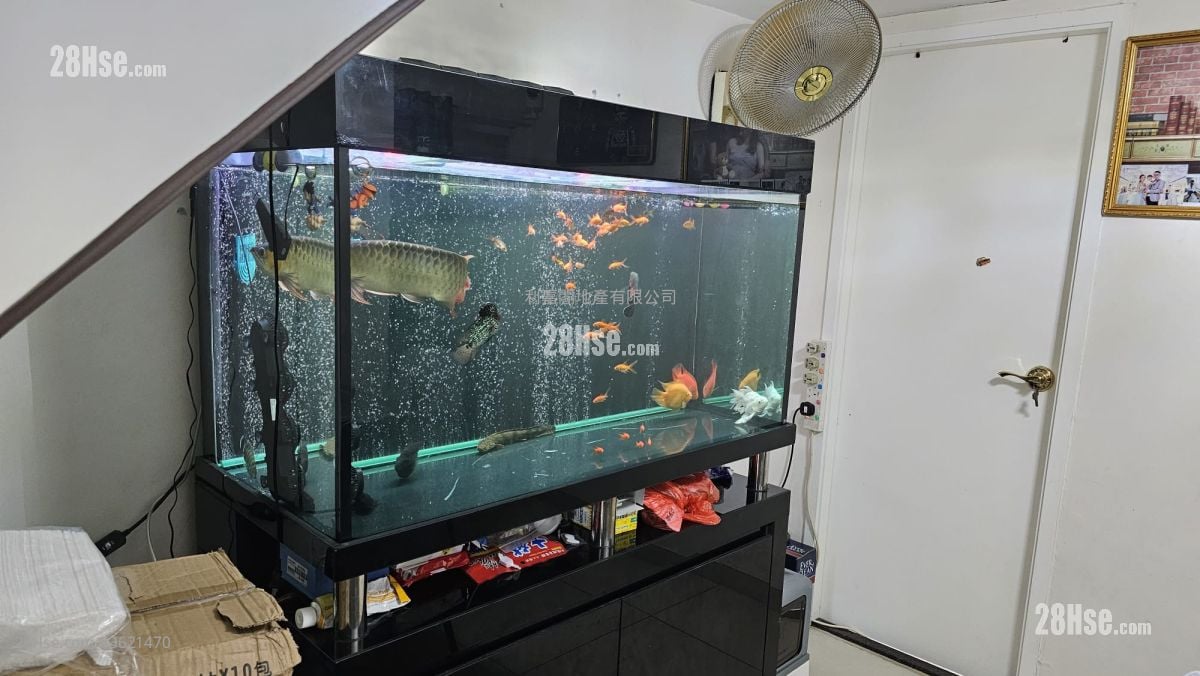 Shui Tsiu San Tsuen Sell 3 Bedrooms 700 ft² Shui Tsiu San Tsuen Sell 3 Bedrooms 700 ft²