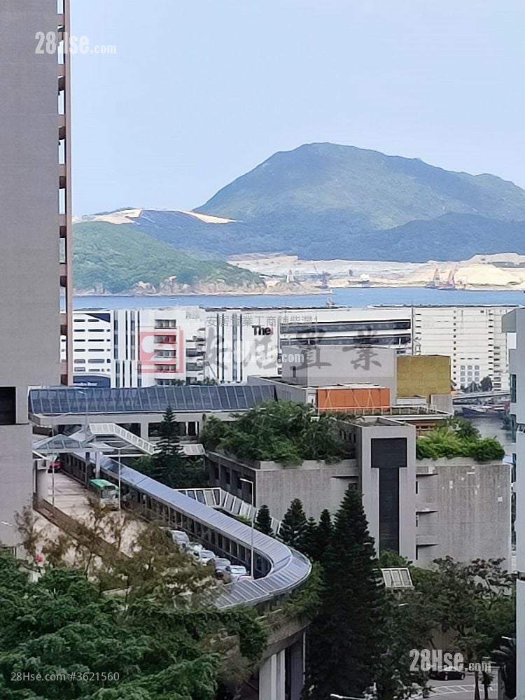 乐翠台 售盘 2 房 , 1 浴室 593 平方尺 乐翠台 售盘 2 房 , 1 浴室 593 平方尺