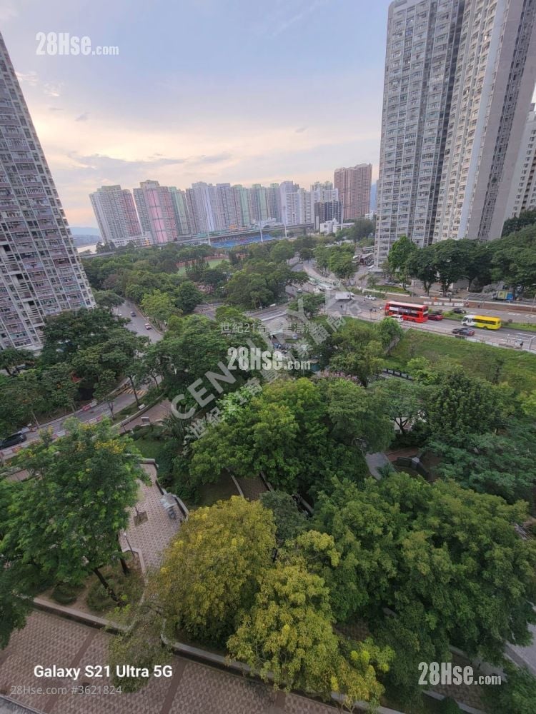 恒安邨 售盘 2 房 , 1 浴室 349 平方尺 恒安邨 售盘 2 房 , 1 浴室 349 平方尺