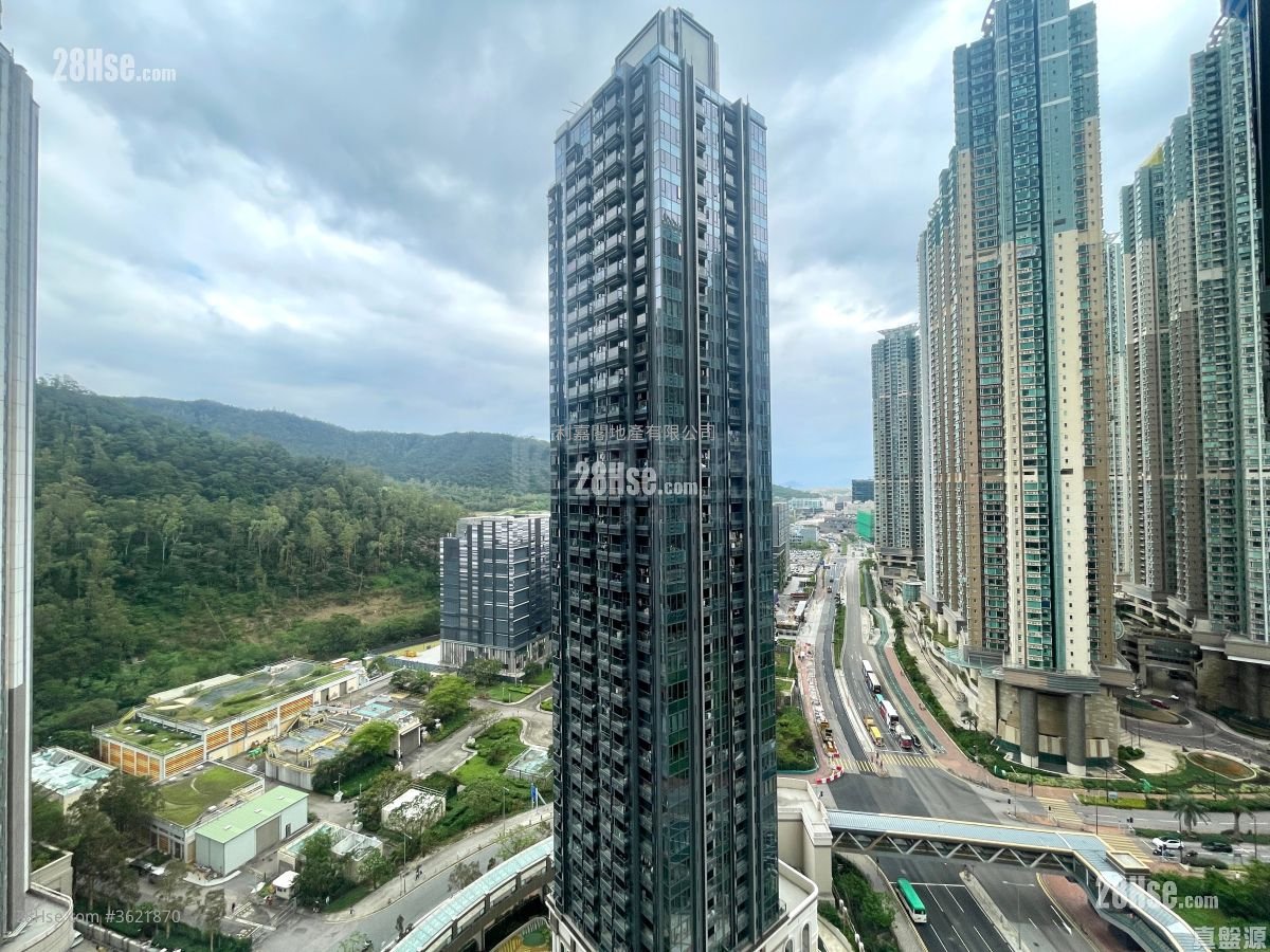 Manor Hill Rental 1 Bedroom , 1 Bathroom 287 ft² Manor Hill Rental 1 Bedroom , 1 Bathroom 287 ft²