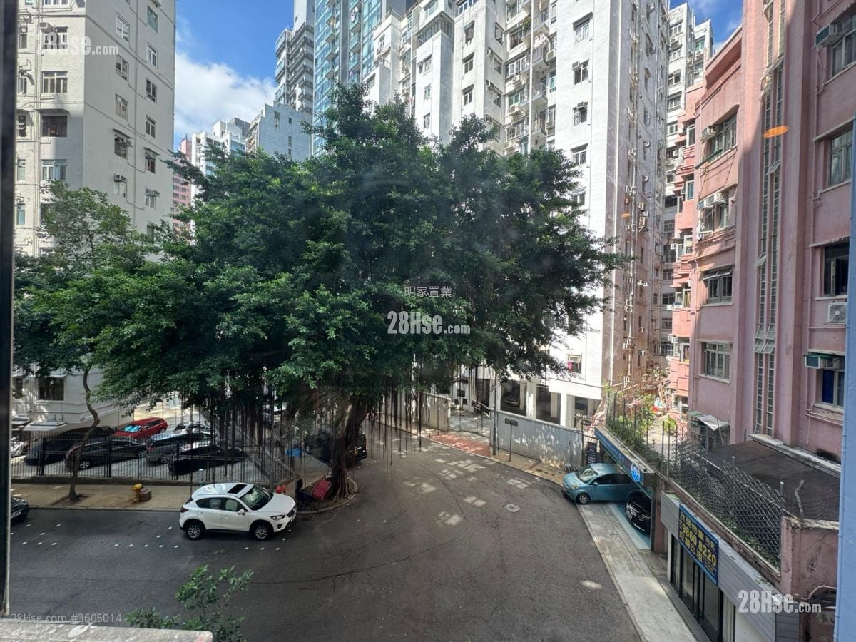 金華樓 租盤 3 房 , 2 浴室 656 平方呎