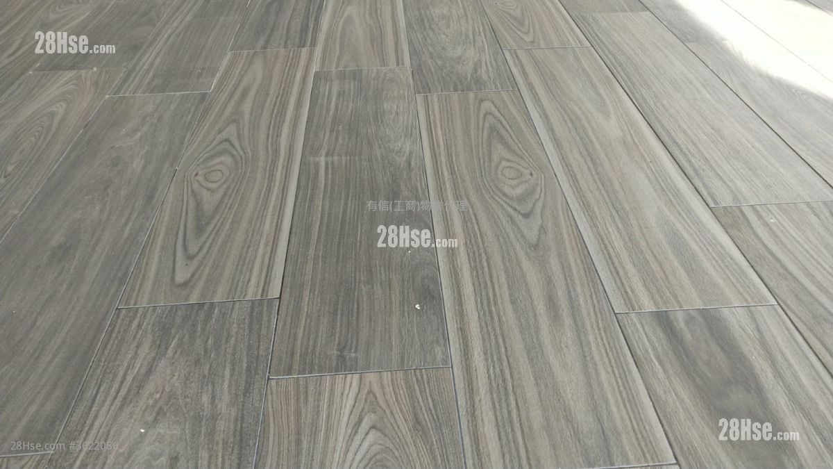 W668 租盤 1 廁所 W668 租盤 1 廁所