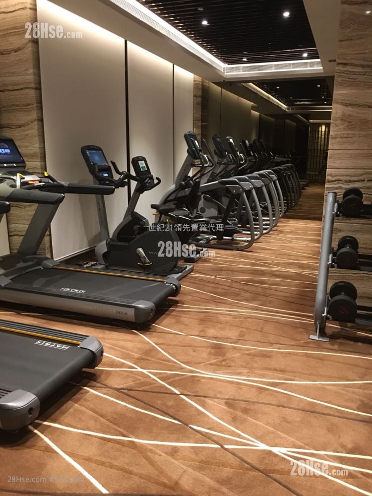 VIVA 售盤 1 房 , 1 浴室 339 平方呎 VIVA 售盤 1 房 , 1 浴室 339 平方呎