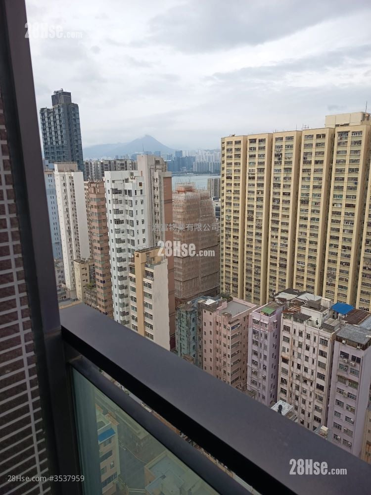 柏匯 租盤 開放式間隔 , 1 浴室 209 平方呎